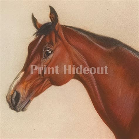 Lexington Famous Race Horse and Nineteenth Century Stallion - Vintage Painting - Etsy