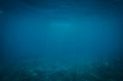 Free Images : sea, water, nature, ocean, diving, underwater, blue ...