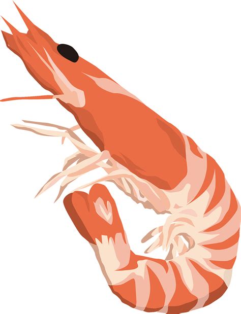 Free Shrimp, Download Free Shrimp png images, Free ClipArts on Clipart ...