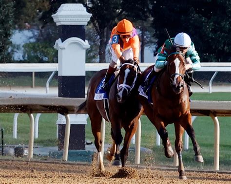 Tommie Jo Exclusive Porn Videos