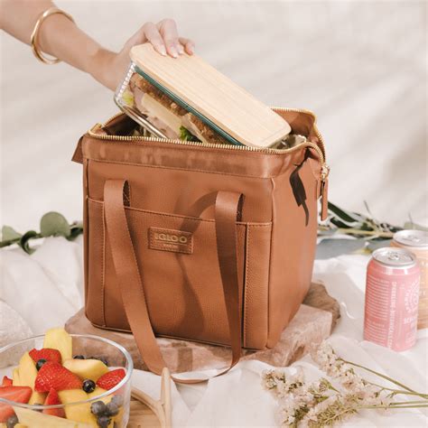 Igloo Luxe® Lunch Tote Cooler Bag Mens Lunch Bag, Lunch Tote Bag, Best ...