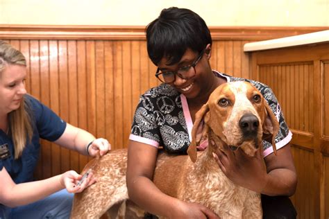 High-quality Veterinary Services in Hoover Alabama in Birmingham, AL ...