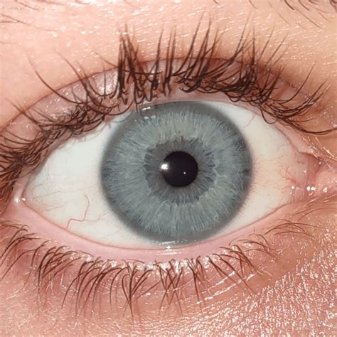 Pale Blue Grey Eyes File:Pale Blue Eyes.jpg Wikimedia Commons