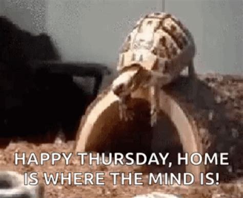 Happy Thursday Funny GIFs | GIFDB.com