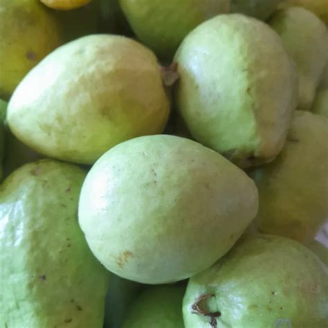 Joka frut+ (@jokafrut) • Instagram photos and videos