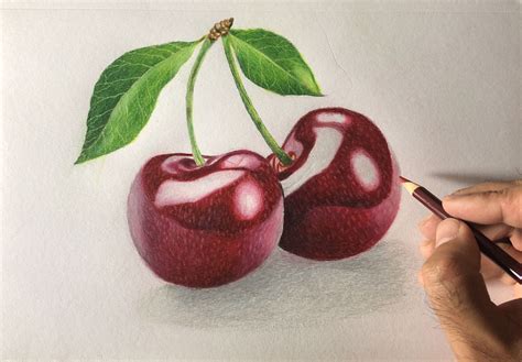 Colour Pencil Drawing Fruits - A Beginner's Guide