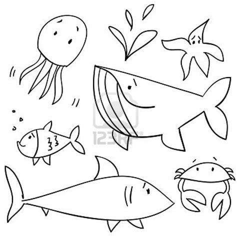 Sea Animal Drawing at GetDrawings | Free download