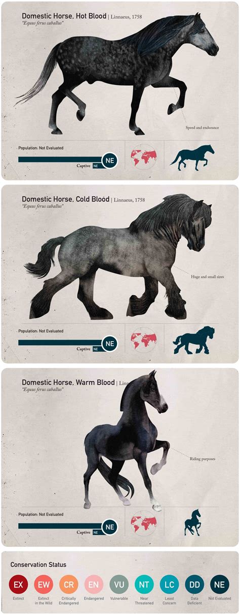 #classification on Tumblr