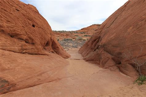 gjhikes.com: White Domes Loop