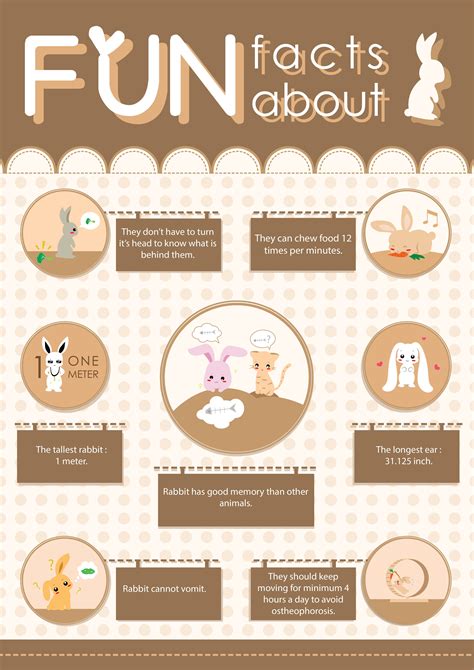 Fun Facts About Rabbits
