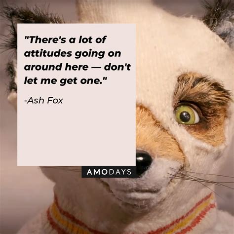 40 'Fantastic Mr. Fox' Quotes to Tempt You off the Straight and Narrow