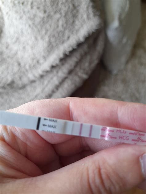 Positive pregnancy test after stillbirth 7 weeks ago : r/Seahorse_Dads