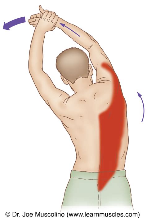 Latissimus Stretch Band Lat Stretch
