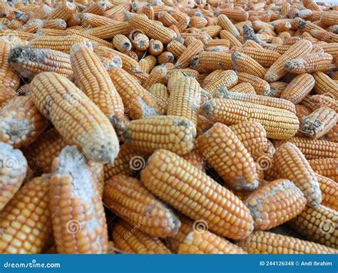 Corn Flour Carbohydrate Content at Donna Casas blog