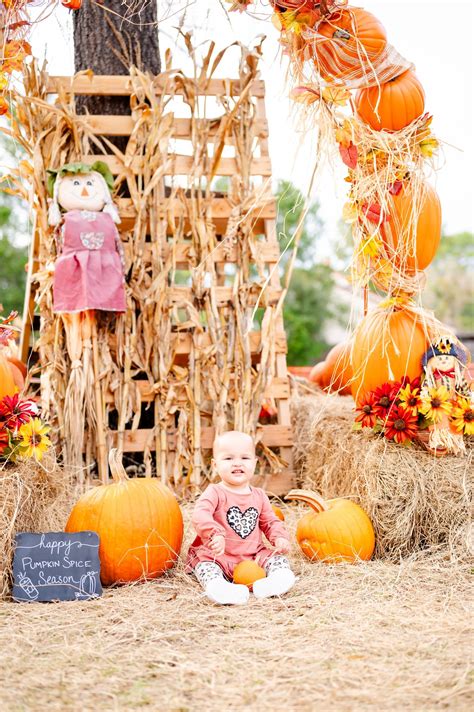 Top 5 Pumpkin Patches in Jacksonville, FL By A Family Photographer ...