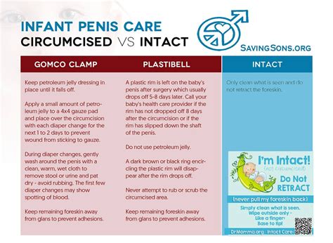 peaceful parenting: Plastibell Infant Circumcision