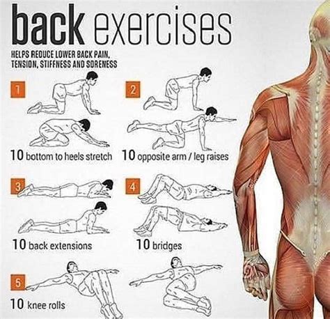 This is a great workout you can do with dumbbells at home for your back ...