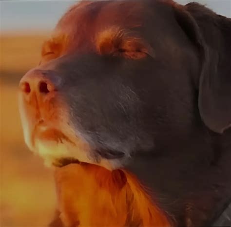 Tamar Braxton - Let Me Know (Official Audio) ft. Future by ...