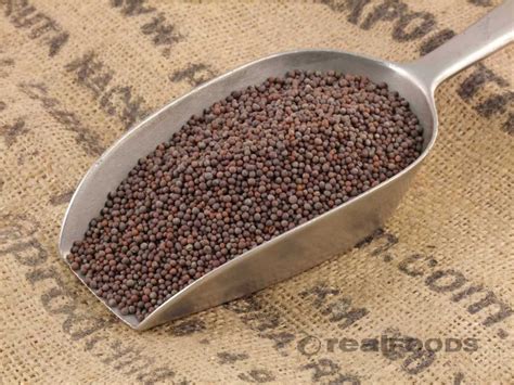 Buy Brown Mustard Seeds