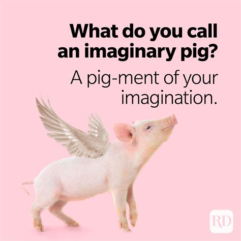 31 Pig Puns That Will Make You Snort with Laughter | Reader's Digest