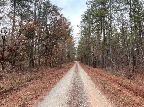 Log Creek Road, South Carolina - GPS Trail Map, Conditions & Difficulty ...