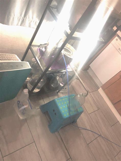 John Ellis (LWM–5) Energized, Distilled Water, One Gallon - Etsy