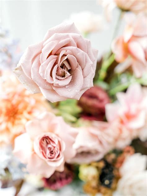 A textural and inviting fall wedding at Pinecroft at Crosley Estate ...