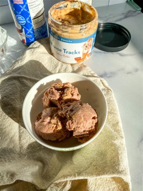 Light Moose Tracks Ice Cream (High Protein)