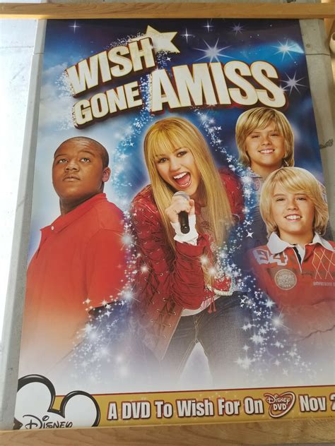 ORIGINAL MOVIE DVD Store POSTER 27" x 40" Wish Gone Amiss New Rolled | eBay