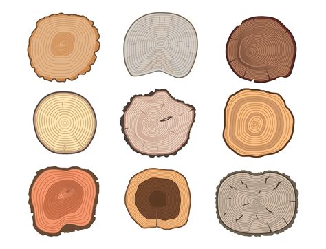 Types Of Hardwood Trees