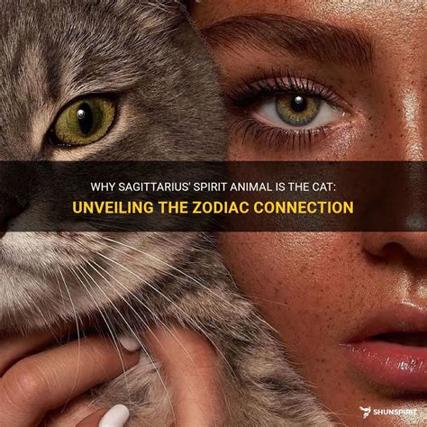Why Sagittarius' Spirit Animal Is The Cat: Unveiling The Zodiac ...