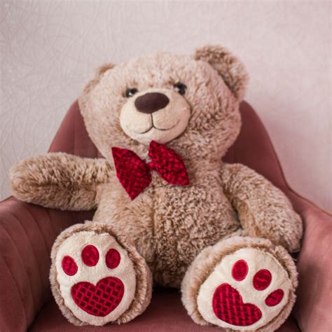 Oso de peluche Café – Vazquez Flowers