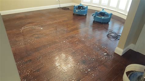 Waxed Wood Floor Maintenance at Darrell Coria blog