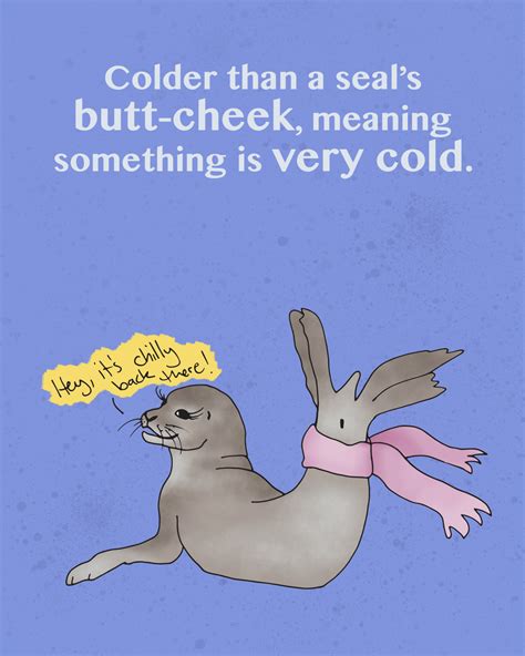 93 Funny Colder than Sayings, Quotes and Memes