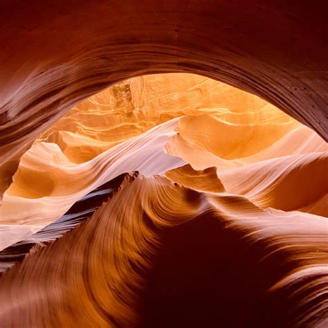 IMG_6754 | Maxine Mayer | Flickr