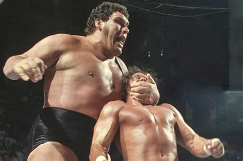Andre The Giant Hands