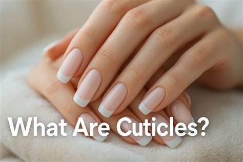 What Are Cuticles? Essential Facts for Healthy Nails – BTArtbox Nails