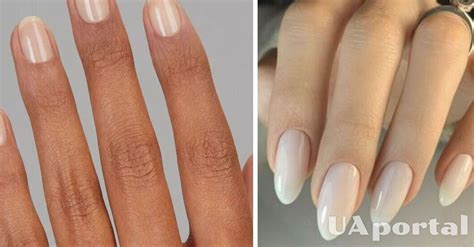 What manicure will be fashionable in winter 2024 - what is chiffon ...