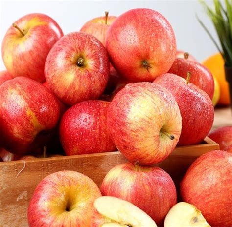 Are Gala Apples High Fodmap at Clifford Bloss blog - are apples low fodmap