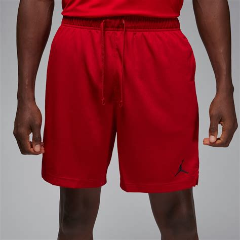 Mens Jordan Shorts. Nike.com