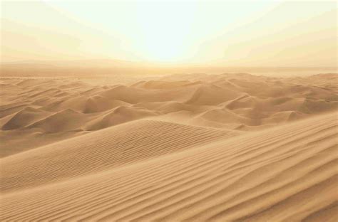 40 Sahara Desert Facts About The Great Desert of Africa - Facts.net