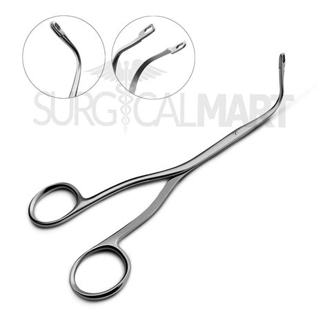 Full Suze Randall Porn Videos