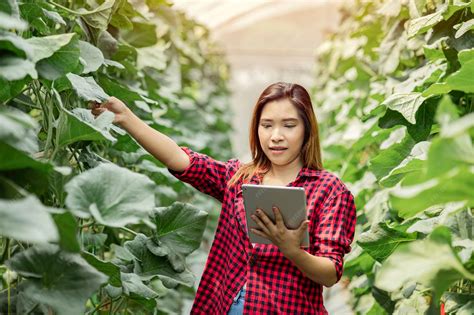 Premium Photo | A happy beautiful asian woman holding tablet and touch melon leaf in melon ...