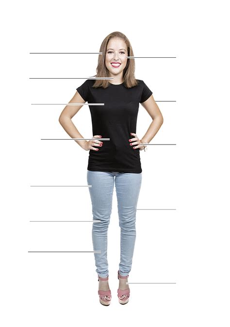 Spanish Translation of “THIGH” | Collins English-Spanish Dictionary