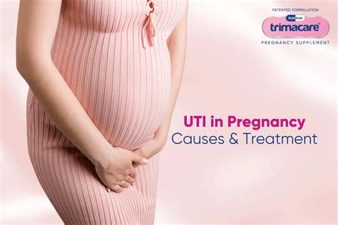 UTI Symptoms Complications and Treatment in Pregnancy | Plusplus Lifesciences