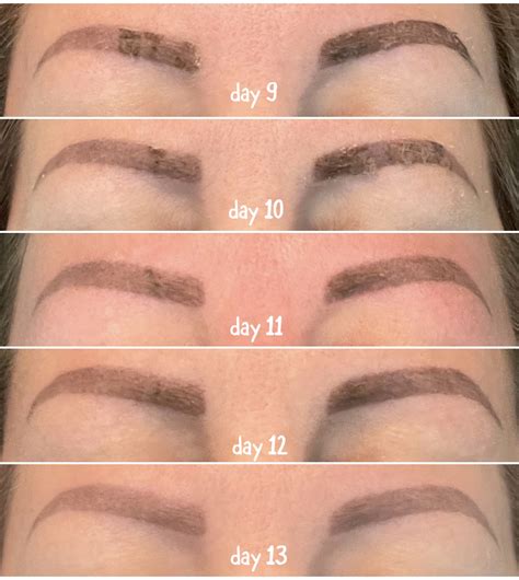 Microblading scabbing day by day what to expect – Artofit