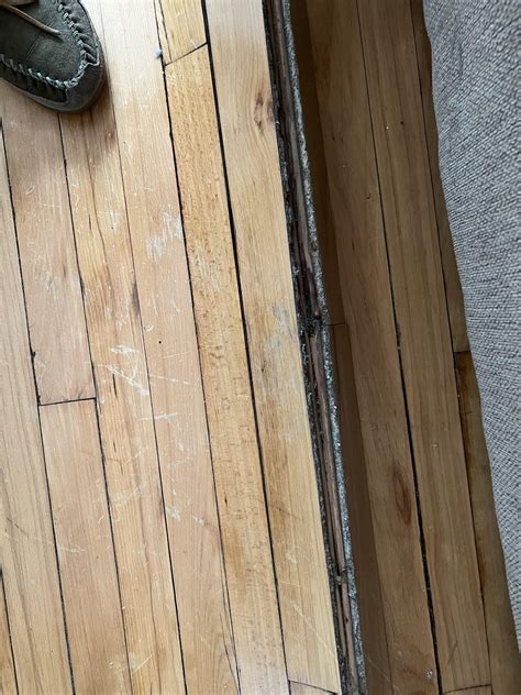 Hardwood floor buckling : r/Flooring