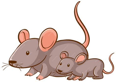 Clipart Rats