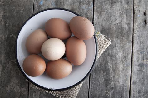 Can Babies Eat Eggs? - Jenna Helwig