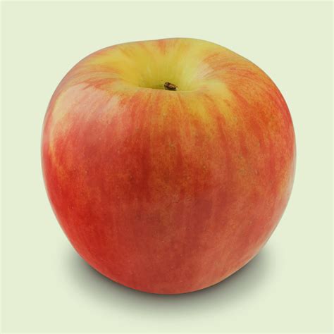 All Apple Varieties - Washington Apples